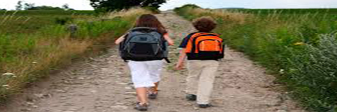 EDUCAÇÃO VOLTADA PARA O CAMPO EDUCAÇÃO VOLTADA PARA O CAMPO