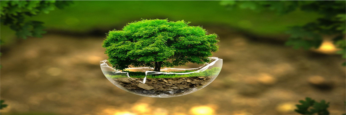 ENSINO DE GEOGRAFIA E MEIO AMBIENTE ENSINO DE GEOGRAFIA E MEIO AMBIENTE